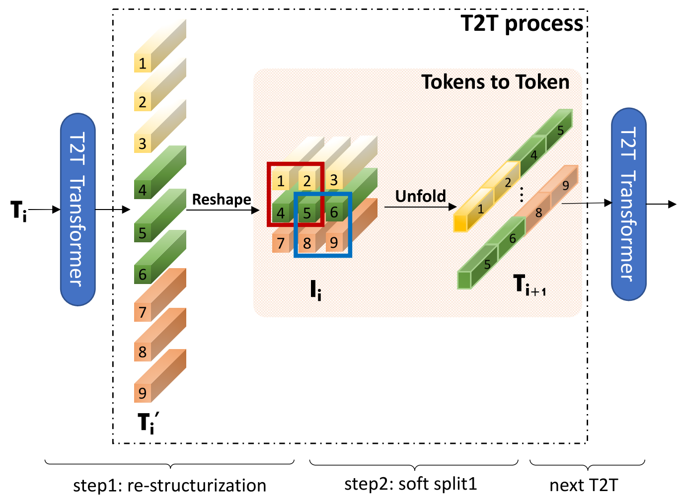 T2T-module